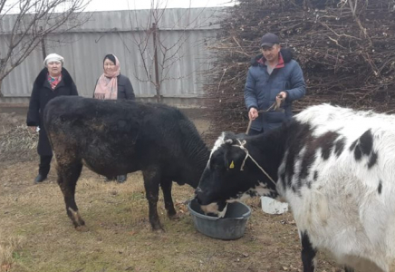 ​Жетісайда атаулы әлеуметтік көмектің игілігін көргендер қатары артып келеді