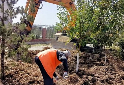 ШЫМКЕНТ: Абай ауданында көгалдандыру жұмыстары жүргізіліп жатыр