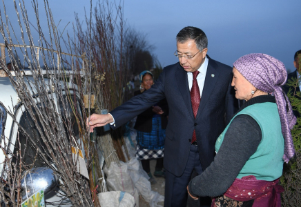 Сарыағаштық шаруалар 14 мың гектарға жуық алқапқа көкөніс дақылдарын екті