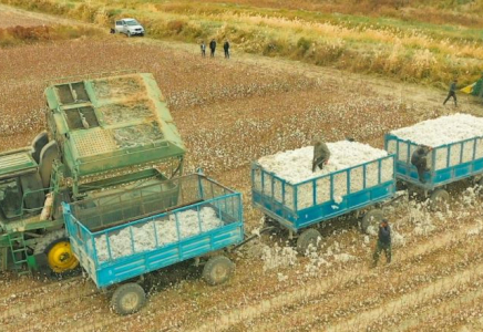 ТҮРКІСТАН: Шардара ауданында ауыл шаруашылығы өнімділігі артқан