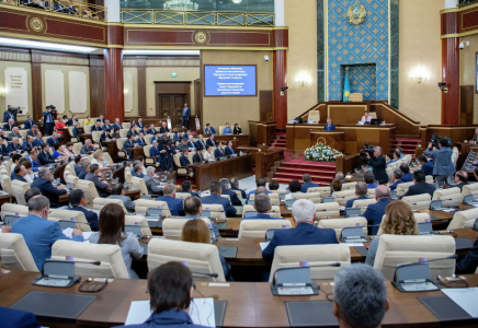 Мәжіліс депутаты министрдің сөзіне сенбеді