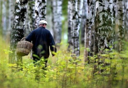 ​Павлодар облысында саңырауқұлақ теріп жүрген балықшы жоғалып кетті