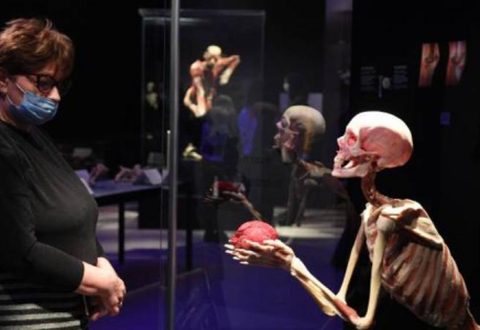 Body Worlds: Ресейде өтіп жатқан адам денелерінің көрмесі дау тудырды