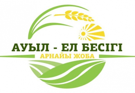 ​ТҮРКІСТАН: «Ауыл ел - бесігі» жобасымен 100-ден аса жоба жүзеге асады