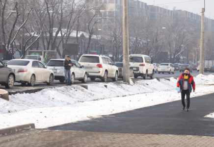 Алматыда Sulpak алдында кесілген ағаштар үшін полицейлер жазалануы мүмкін