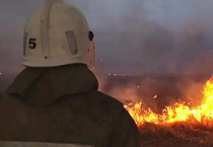 ​Түркістан облысында 3 айда 15 орман дала өрті тіркелді 