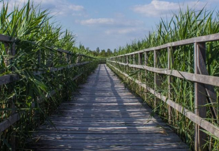 СҚО әкімдігі көпір неге қалқып жүргенін түсіндірді