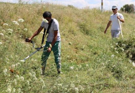 ТҮРКІСТАН: Төлебиде сенбілік өтті