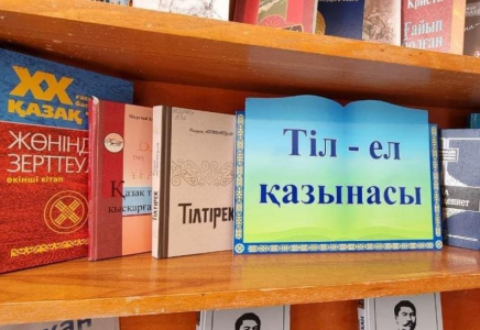 Түркістан облысында бірнеше бизнес-нысан кітапханаға айналды