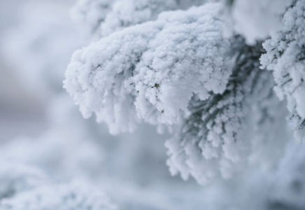 Елімізде ауа температурасы -38 градусқа дейін төмендейді