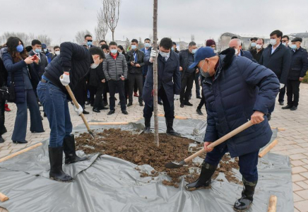 Түркістілдес БАҚ өкілдері Ясауи кесенесінің айналасына ағаш отырғызды