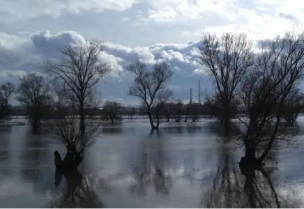 Еліміздің бірқатар өңірінде қарғын су үйлерге кірді