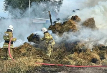 Шығыс Қазақстанда 6 тоннаға жуық шөп өртеніп кетті