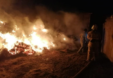 Атырау облысында шөп өртеніп, 3 бала көз жұмды (видео)