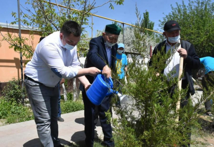 Сенбілікке шыққан түркістандықтар шырша отырғызды