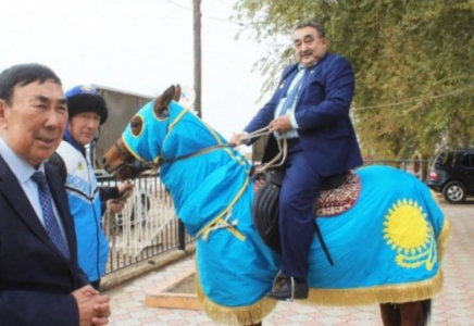 Депутатқа Қазақстан туы жабылған жылқы берілген: әкімдік пікір білдірді