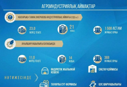 Шымкентте 4 азық-түлік қоймасы салынады 