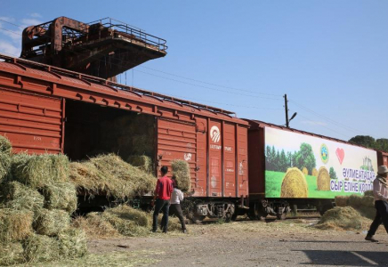 Жамбыл облысы Қызылорда өңіріне 33 тонна шөп жөнелтті