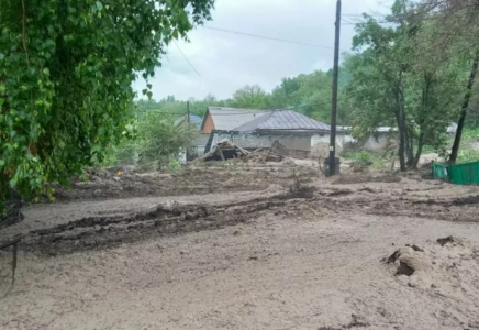 Текелі қаласында сел жүріп, қыз бала жоғалып кетті