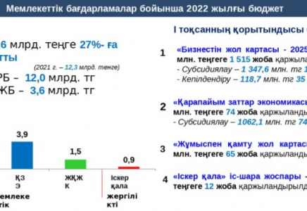 ШЫМКЕНТ: Үш айда 2 мыңға жуық жобаға мемлекеттен қолдау көрсетілді