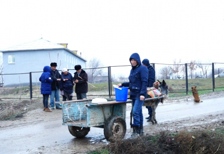 ​«Лай суды тасып ішеміз»: түркістандық тұрғындар шу шығарды (видео)