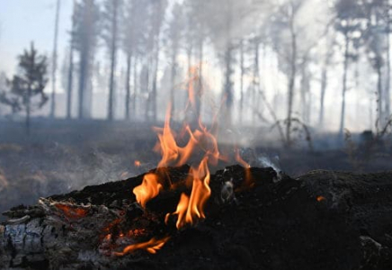 Ғаламдық масштабтағы апат: Сібірдегі орман өртінің түтіні Алматы облысына жетті (фото, видео)