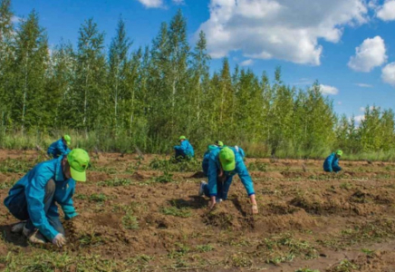 16-35 жас аралығындағы жастарға мүмкіндік: Алматылықтар маусымдық жұмысқа қалай орналаса алады