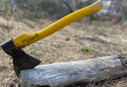 Қостанайда ұлын балталап өлтірген әкеден қызы миллион теңге өтемақы талап етті