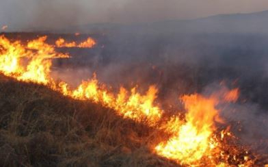 ТҮРКІСТАН: Өрт қауіпсіздігін бұзған 74 адам жауапкершілікке тартылды