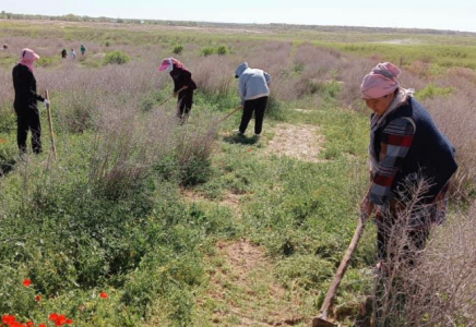 «КИЕЛІ МЕКЕН»: Сүткент қалашығы тазартылды