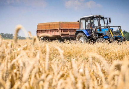 Шымкент агроөнім өңдейтін орталыққа айналады