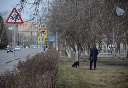 Петропавлда итін жоғары қабаттан лақтырып өлтірген әйел айыппұл төлейтін болды