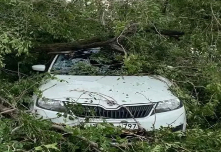 БҚО-да күшті жел салдарынан ағаш автокөлікке құлап, үйдің шатыры ұшты