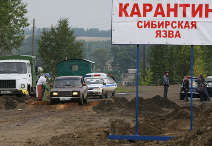 Ақмола облысында сібір жарасының қайдан шыққаны белгілі болды  