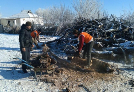 ТҮРКІСТАН: Арыстық оқушылар ардагердің ауласын тазалап берді