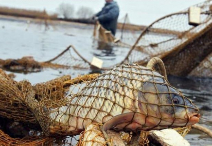 ТҮРКІСТАН: Заңсыз балық аулағандар қылмыстық жауапкершілікке тартылады