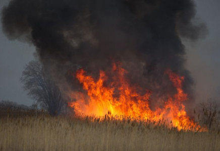 Абай облысында тағы да өрт сөндіріліп жатыр