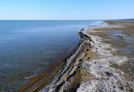 Арал теңізінде балық жаппай қырылуы мүмкін – депутат