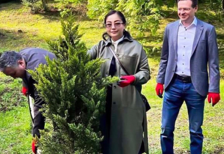 Шымкент-Кутаиси арасында әріптестік байланыс жанданады