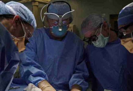 Шошқаның бүйрегін салған алғашқы адам трансплантациядан кейін екі айдан соң көз жұмды