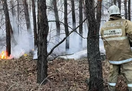 Абай облысындағы өртті сөндіруге Түркия мен Өзбекстан көмек ұсынған