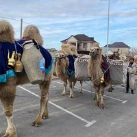 «Шымкент 2020 - ТМД елдерінің мәдени астанасы» жылының салтанатты жабылу рәсімі өтті 