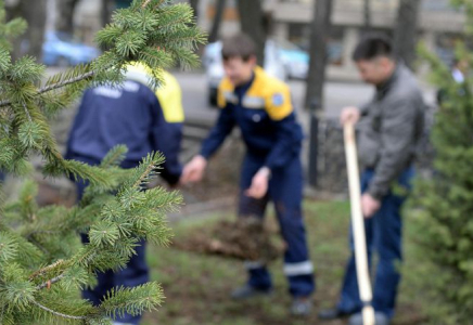 9 наурыздан бастап Алматыда тегін көшет алуға болады