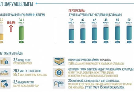 Шымкентте ауылшаруашылық өнім көлемі 9 айда 34 млрд теңгеге жетті