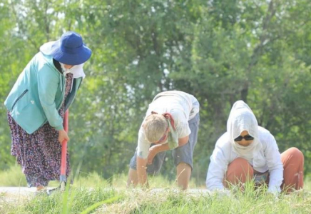 ТҮРКІСТАН: Арыста жалпықалалық сенбілік өтті