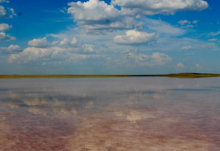 Көбейтұздың тұзын сатқандар бірнеше бап бойынша жауапқа тартылады