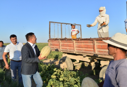 Отырарда аграрлық салада жаңа технологиялар жеміс бере бастады