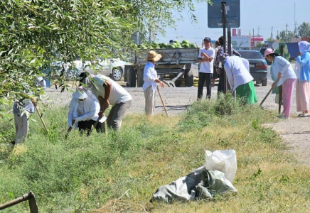 ТҮРКІСТАН: Жетісайдағы сенбілікке 1200 адам қатысты