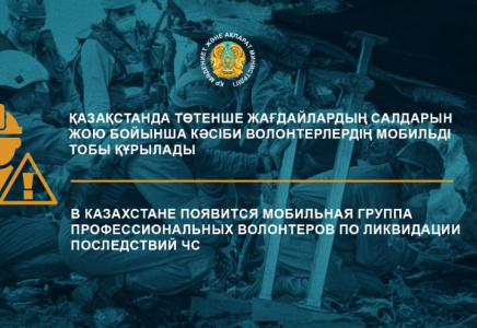 ​Қазақстанда ТЖ салдарын жою бойынша кәсіби еріктілердің мобильді тобы құрылады