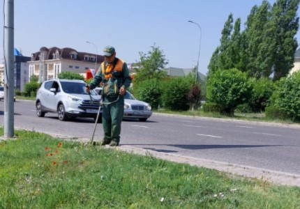 ШЫМКЕНТ: Көгалдандыру жұмыстары жалғасып жатыр